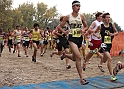 2010CIF XC BD3-0100